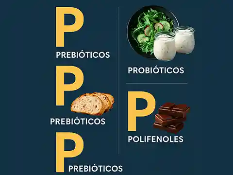 Infografía con los cuatro pilares de la dieta 4P: prebióticos, probióticos, posbióticos y polifenoles para mejorar salud intestinal.